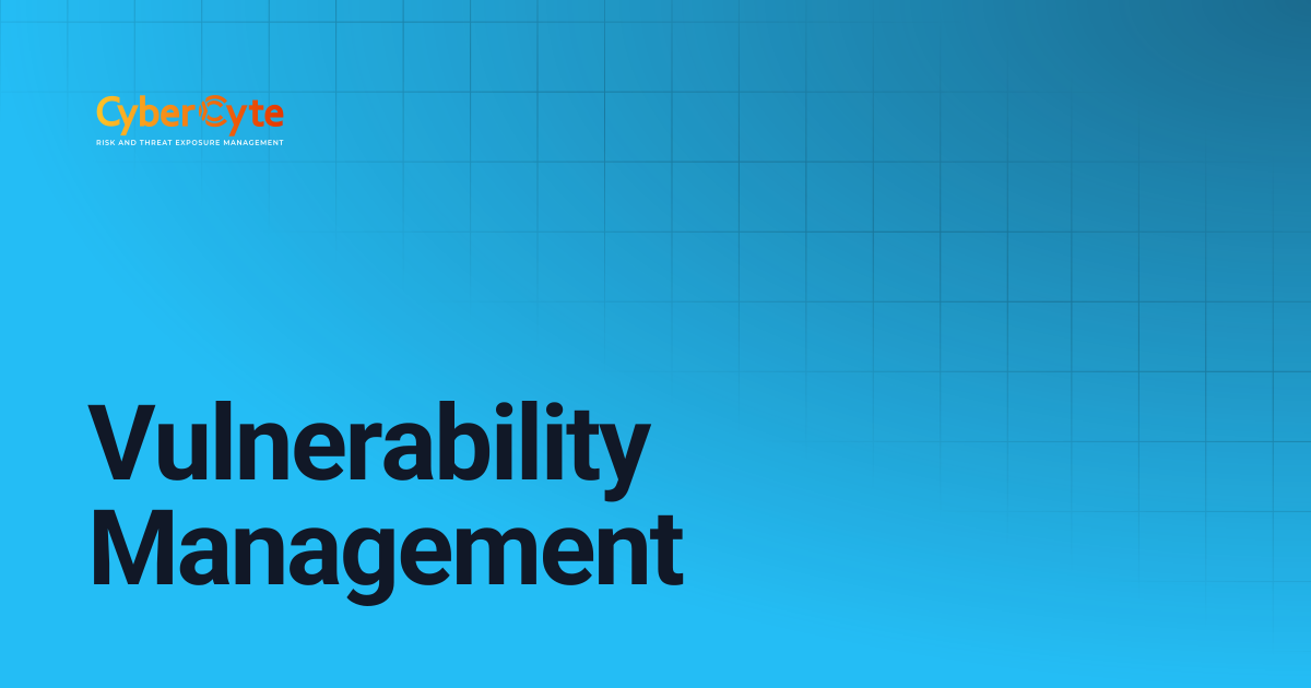 Vulnerability Management | CyberCyte Documentation