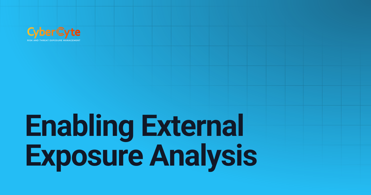 Enabling External Exposure Analysis | CyberCyte Documentation